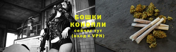 стафф Заводоуковск