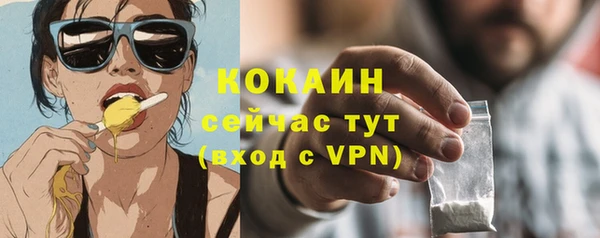 стафф Заводоуковск