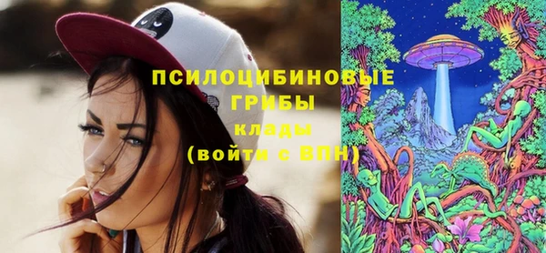 мдпв Заволжск