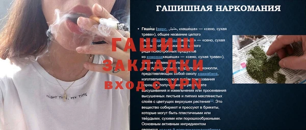 стафф Заводоуковск