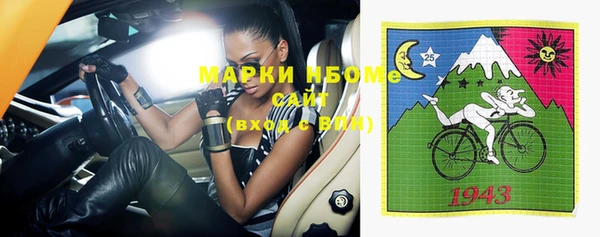 стафф Заводоуковск