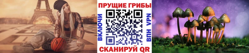 Галлюциногенные грибы Psilocybe Купить где Гатчина